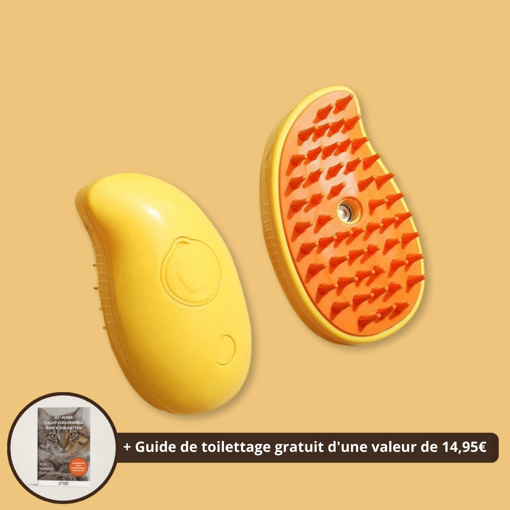 Brosse pour chat à vapeur - Charmcat®