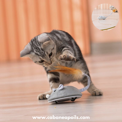 Souris pour chat - Sourichat®