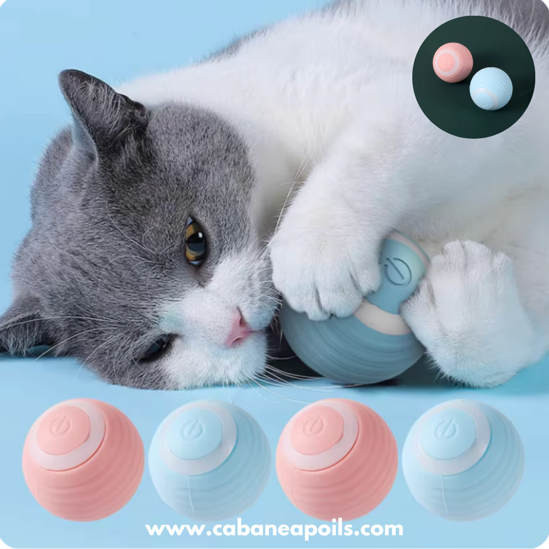 Balle magique pour chat - Magikball®