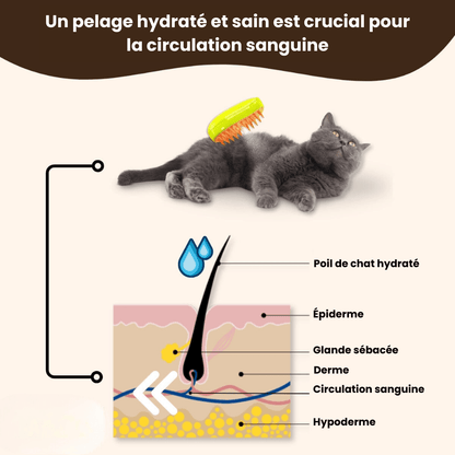 Brosse pour chat à vapeur - Charmcat®