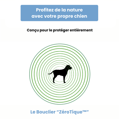 Protection anti-tique - Zerotique®