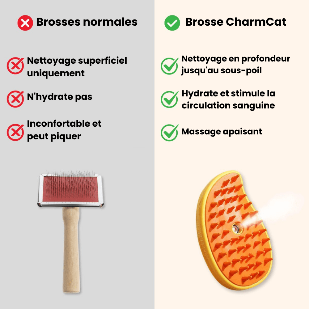 Brosse pour chat à vapeur - Charmcat®