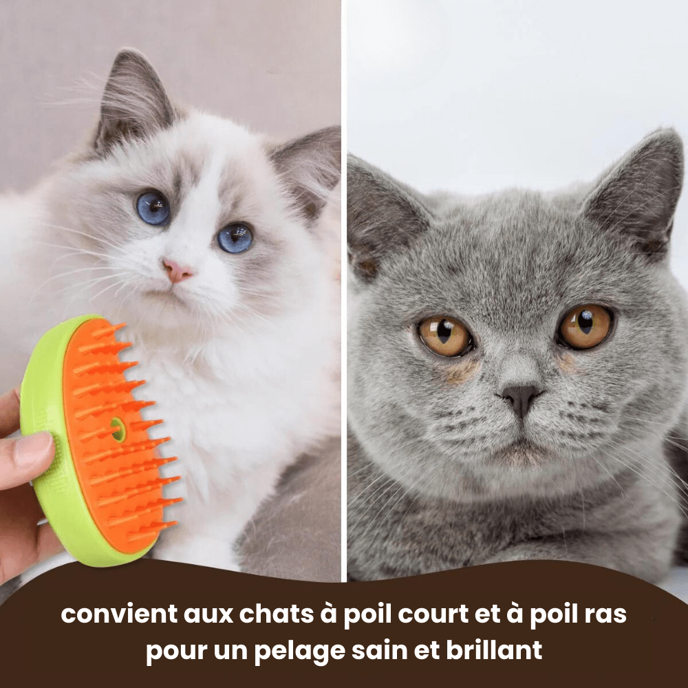 Brosse pour chat à vapeur - Charmcat®