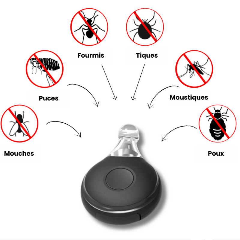 Protection anti-tique - Zerotique®