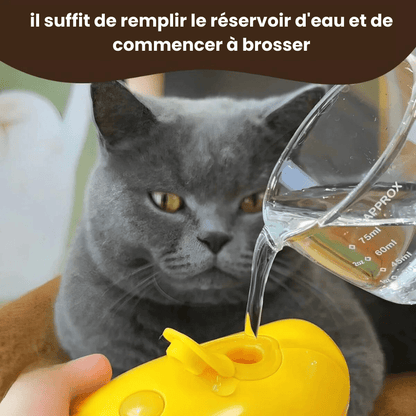 Brosse pour chat à vapeur - Charmcat®