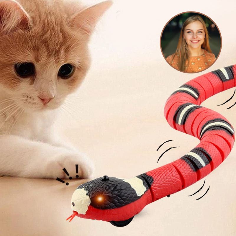 Jouet serpent pour chat - Serpentouille®