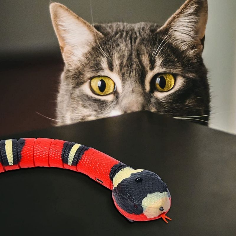 Jouet serpent pour chat - Serpentouille®