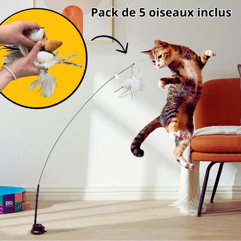 JOUET POUR CHAT - BIRD®