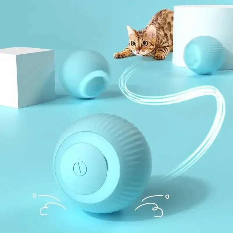 Balle magique pour chat - Magikball®