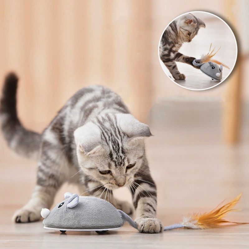 Souris pour chat - Sourichat®