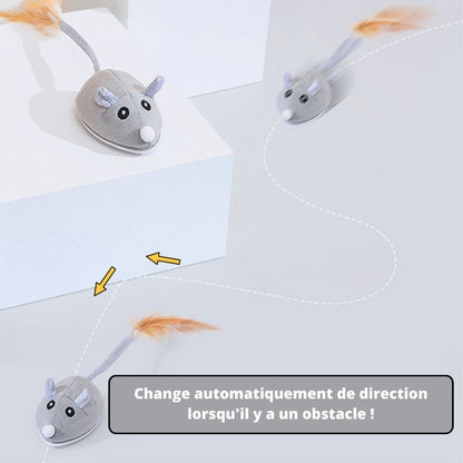 Souris pour chat - Sourichat®