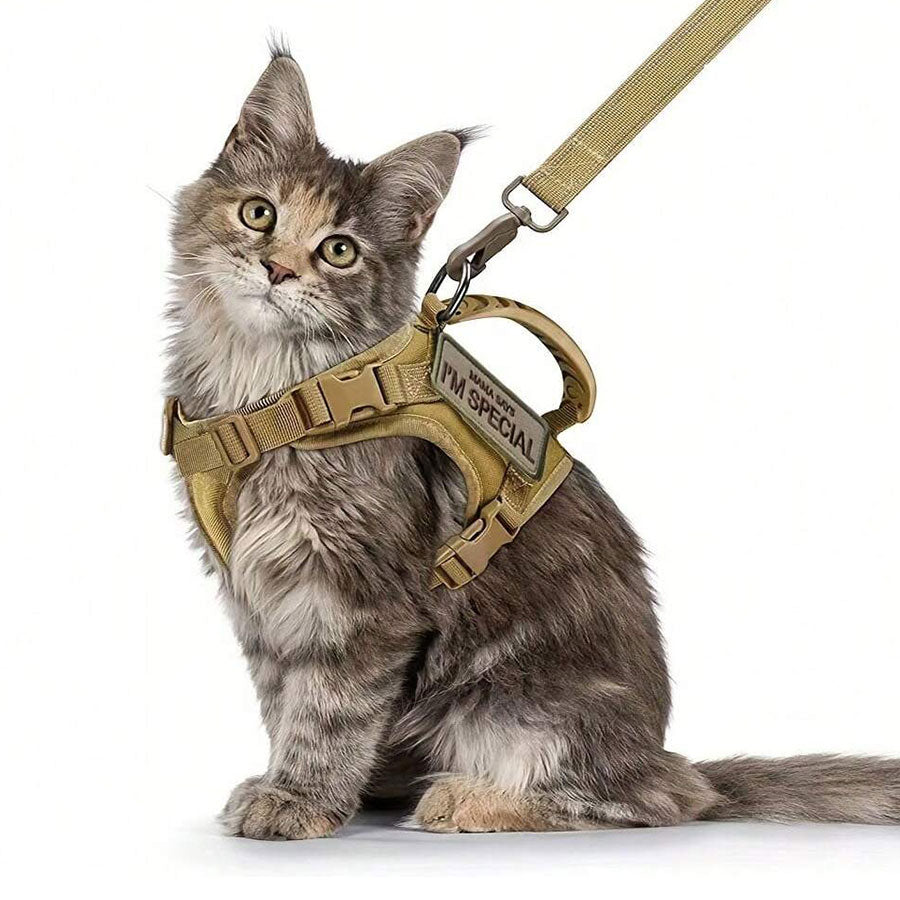 Harnais militaire pour chat - Milicat®