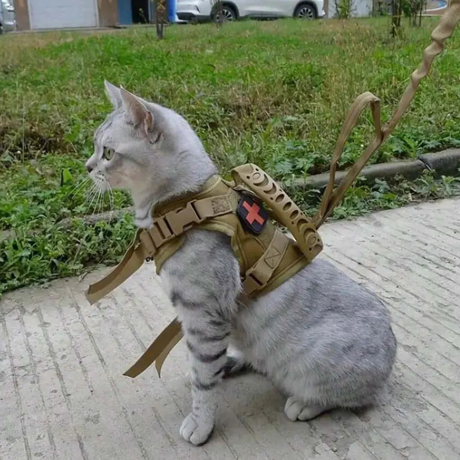 Harnais militaire pour chat - Milicat®