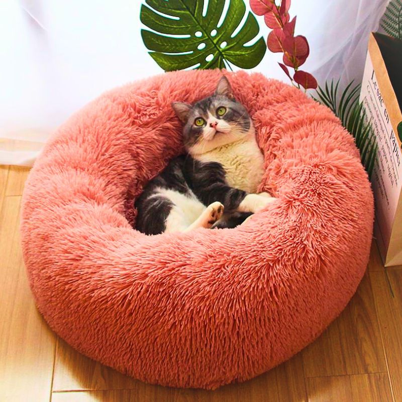 Coussin pour chat - Couchat®