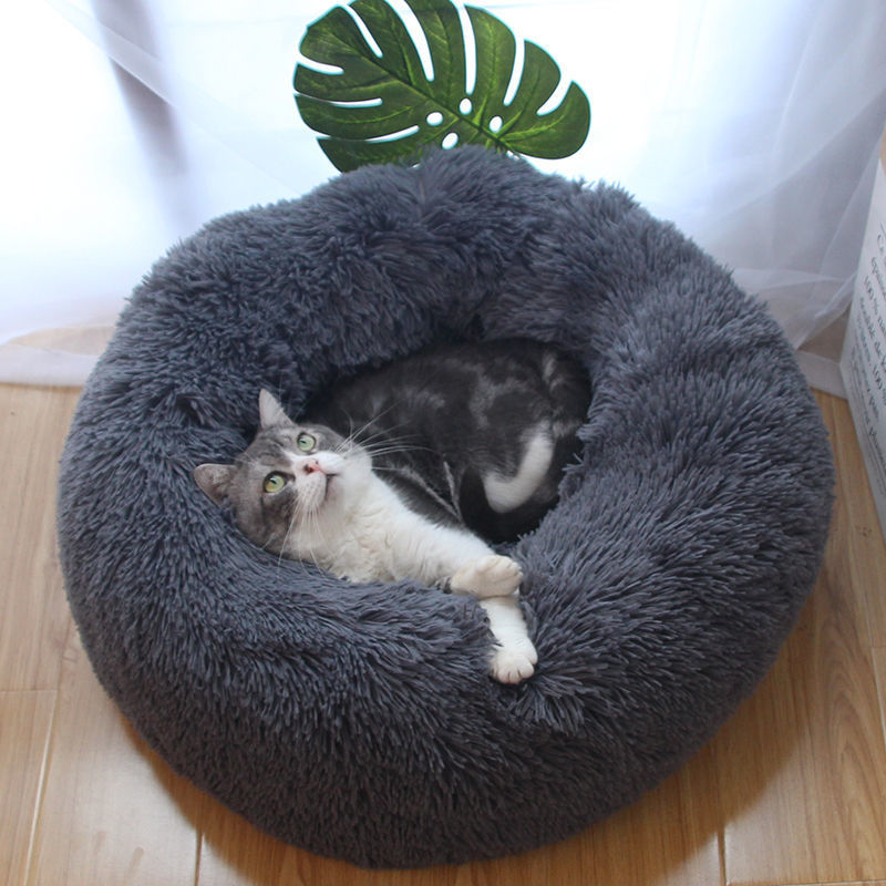 Coussin pour chat - Couchat®