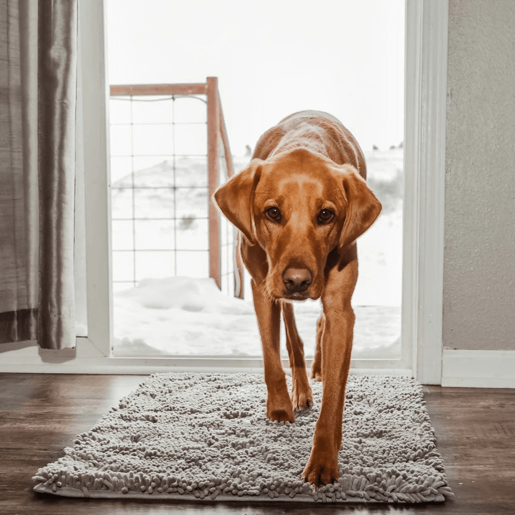 Tapis pour chien absorbant - Tapinou®