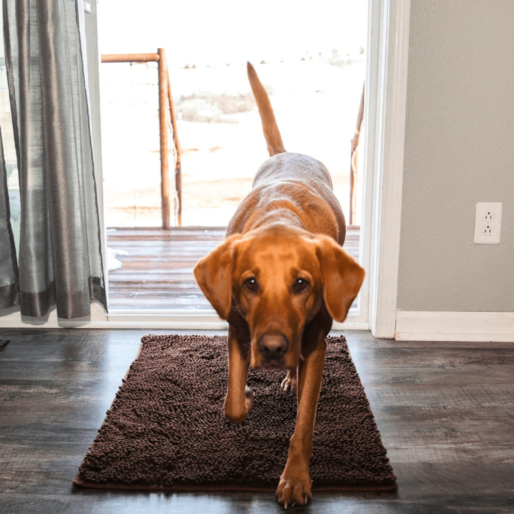 Tapis pour chien absorbant - Tapinou®